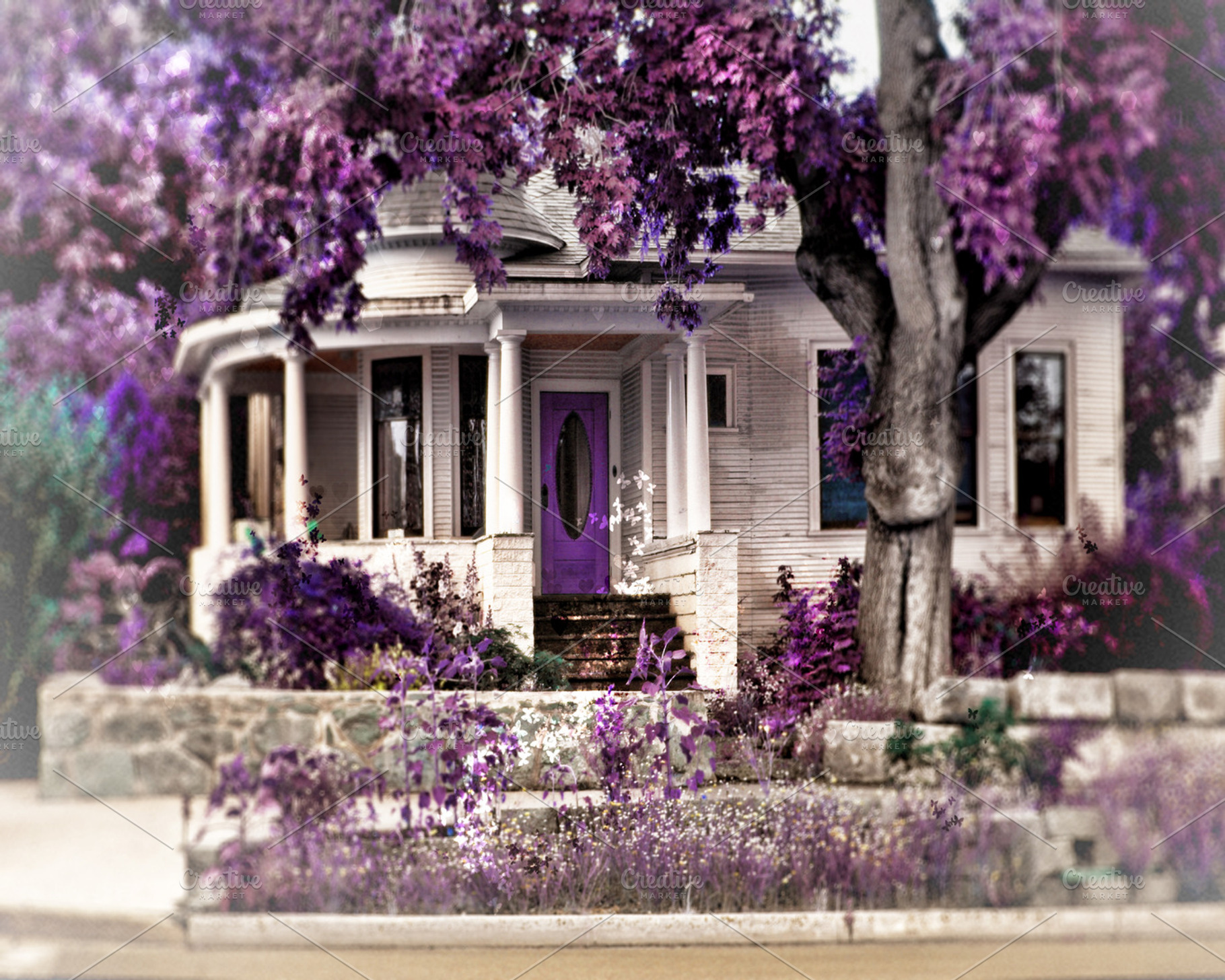 The Purple Door, an Architecture Photo by HAUTEGRAPHIQUE