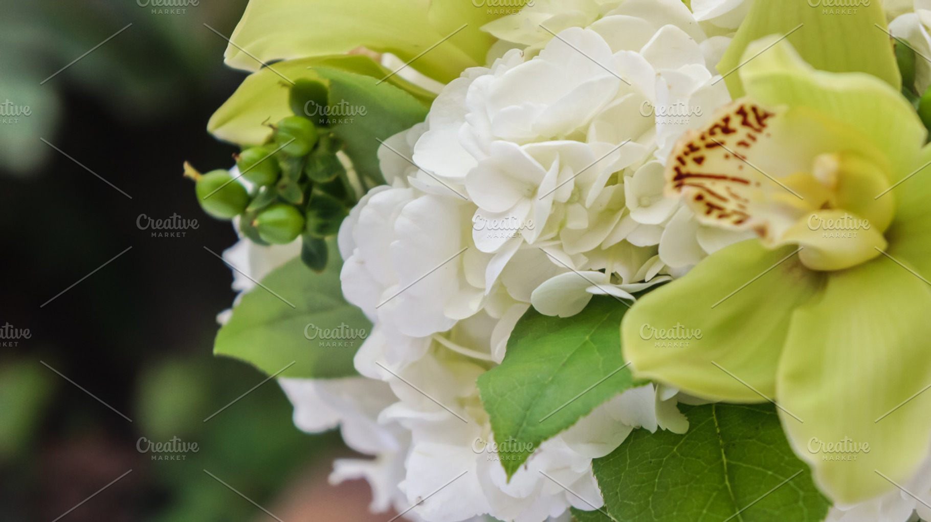 Fundraiser Flowers