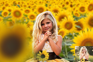 Sunflower Photo Overlays Backdrops