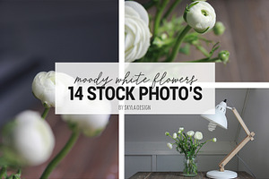 Stock photos, Moody white flower, a Print Template by Angele Kamp