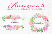 Watercolor pink peony illustrations, a Texture Illustration by svetodesign (Thumbnail 4 of 11)