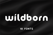 Wildborn - Logo Font, a Sans Serif Font by Umitype (Thumbnail 1 of 11)