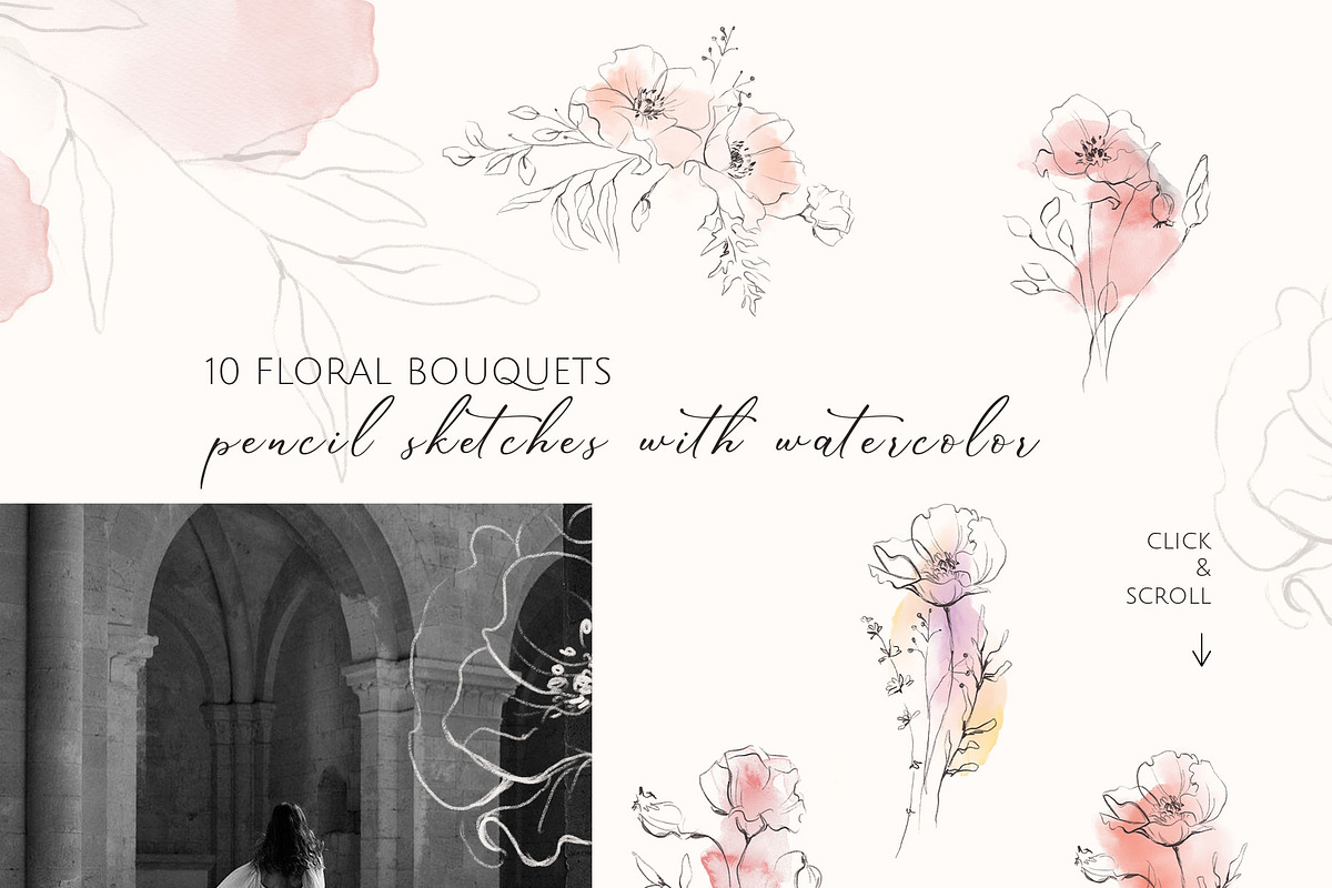 POPPY SUNSET pencil floral sketches, a Decorative Illustration by Yuliia Lashevska (Photo 3 of 10)