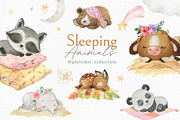 Sleeping Animals Collection, an Animal Illustration by StarJam (Thumbnail 1 of 8)