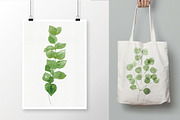 25 Eucalyptus Branches, an Illustration by Helga Wigandt (Thumbnail 4 of 5)