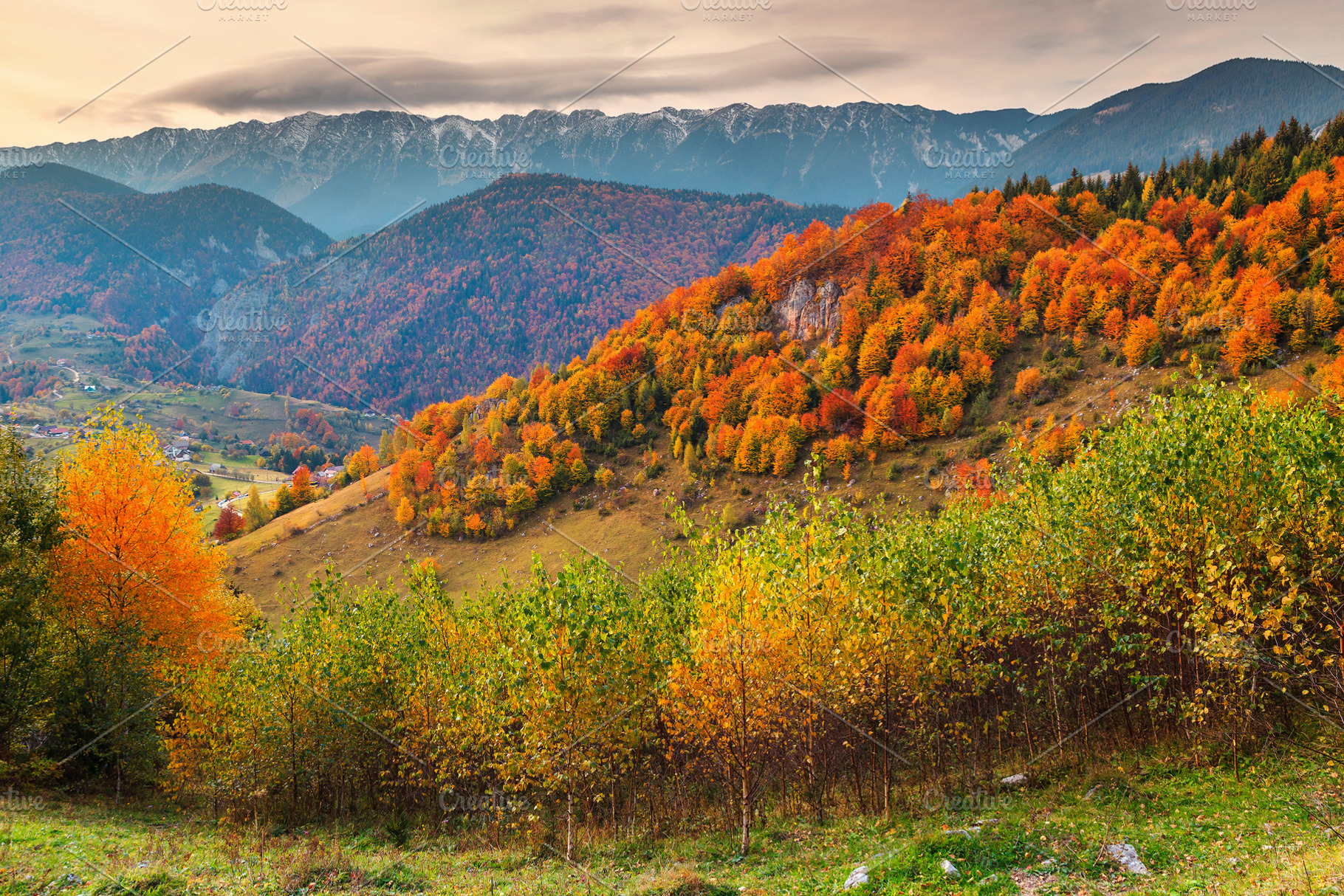 Beautiful autumn colorful landscape, a Nature Photo by Alpine Dreams