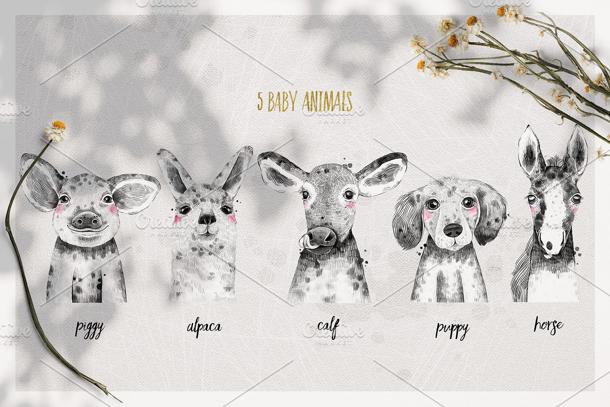 FARM BABIES watercolor set, an Animal Illustration by Natali Smolova (Photo 4 of 8)