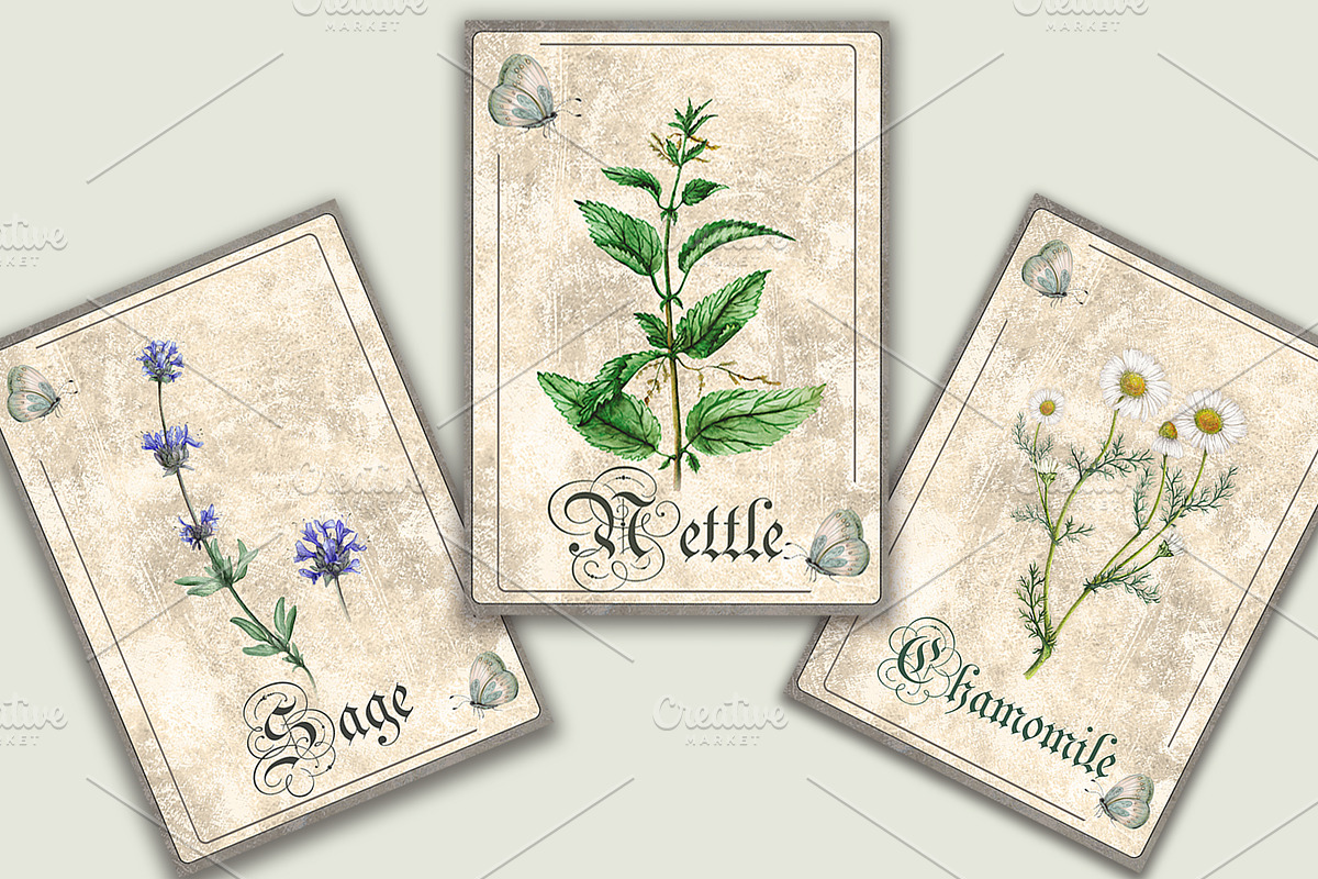 Herbal Botanical Cards, an Illustration by Arevka (Photo 2 of 3)