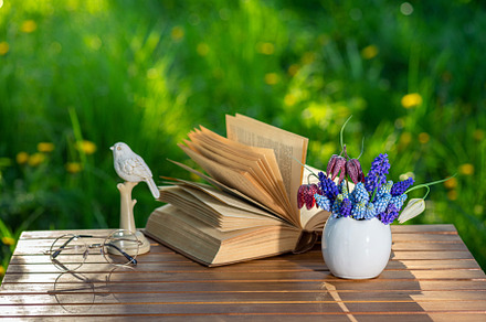 Bouquet of flowers, book on table, an Arts & Entertainment Photo by LanaSweet
