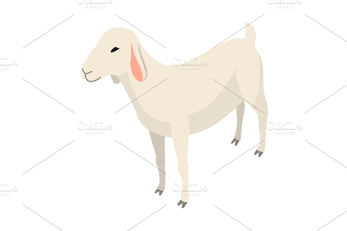 Farm animal isometric. Domestic, an Animal Illustration by the8monkey
