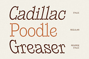 CS Helona – Decorative Font, a Serif Font by Craft Supply Co. (Thumbnail 7 of 8)