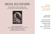 Rose Quartz Raven Illustration, an Animal Illustration by The Dutch Lady Designs (Thumbnail 3 of 4)