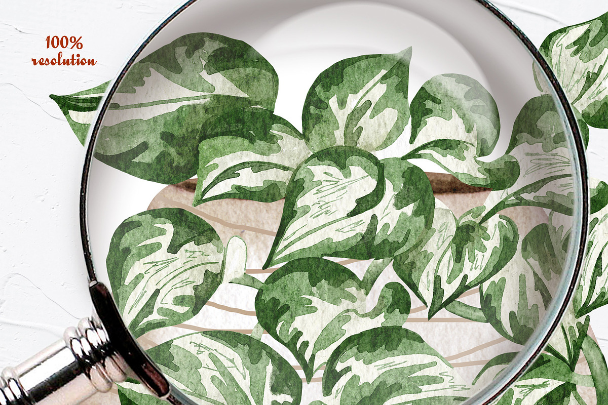 House Plants Watercolor Collection, an Object Graphic by BarvArt (Photo 8 of 8)