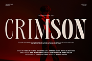 TBJ Valmist Elegant Modern Serif, a Serif Font by Taboja Studio (Thumbnail 6 of 15)