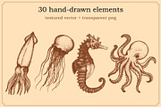 Marine Animal Hand Drawn Elements, an Animal Illustration by Artolabs (Thumbnail 4 of 6)