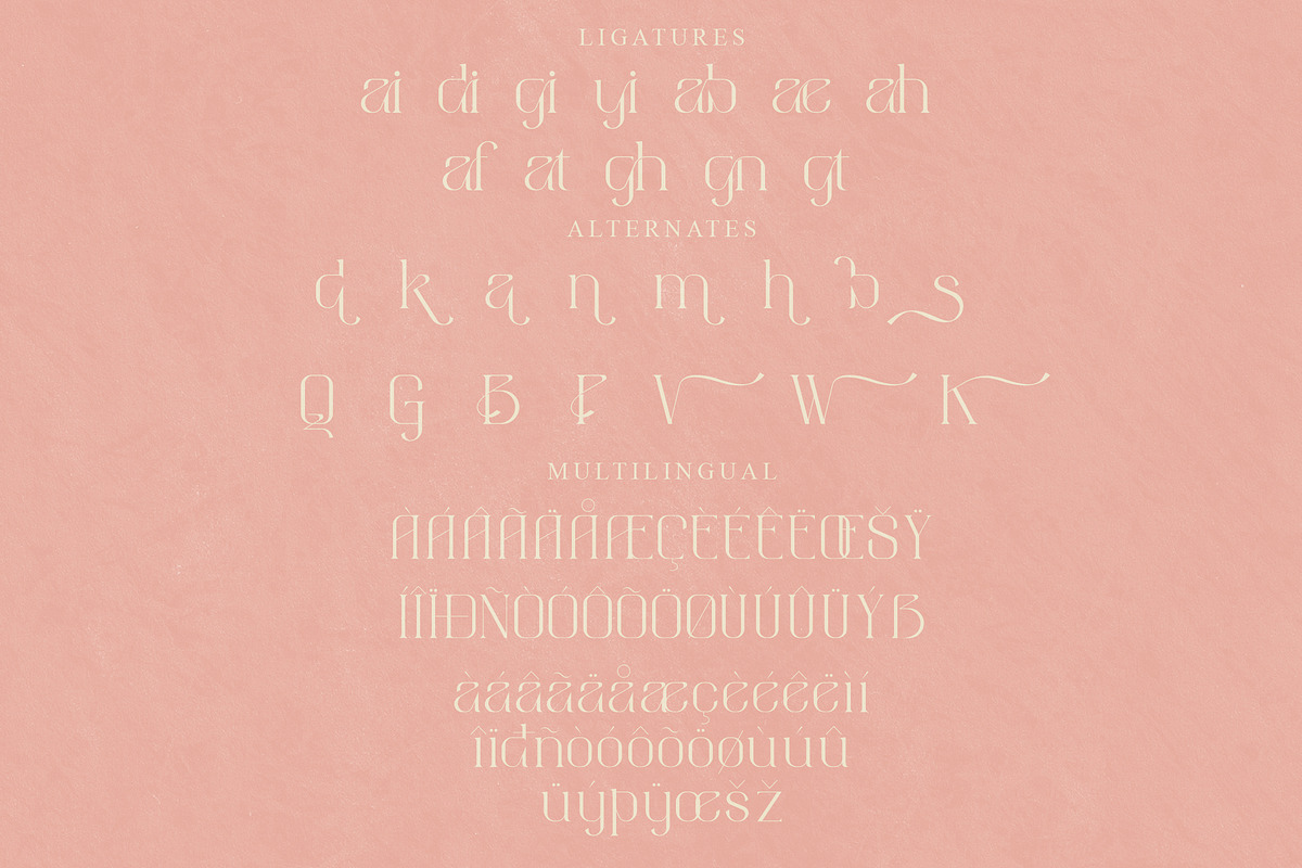 aimstesa stylish serif font, a Serif Font by Storytype Studio (Photo 14 of 15)