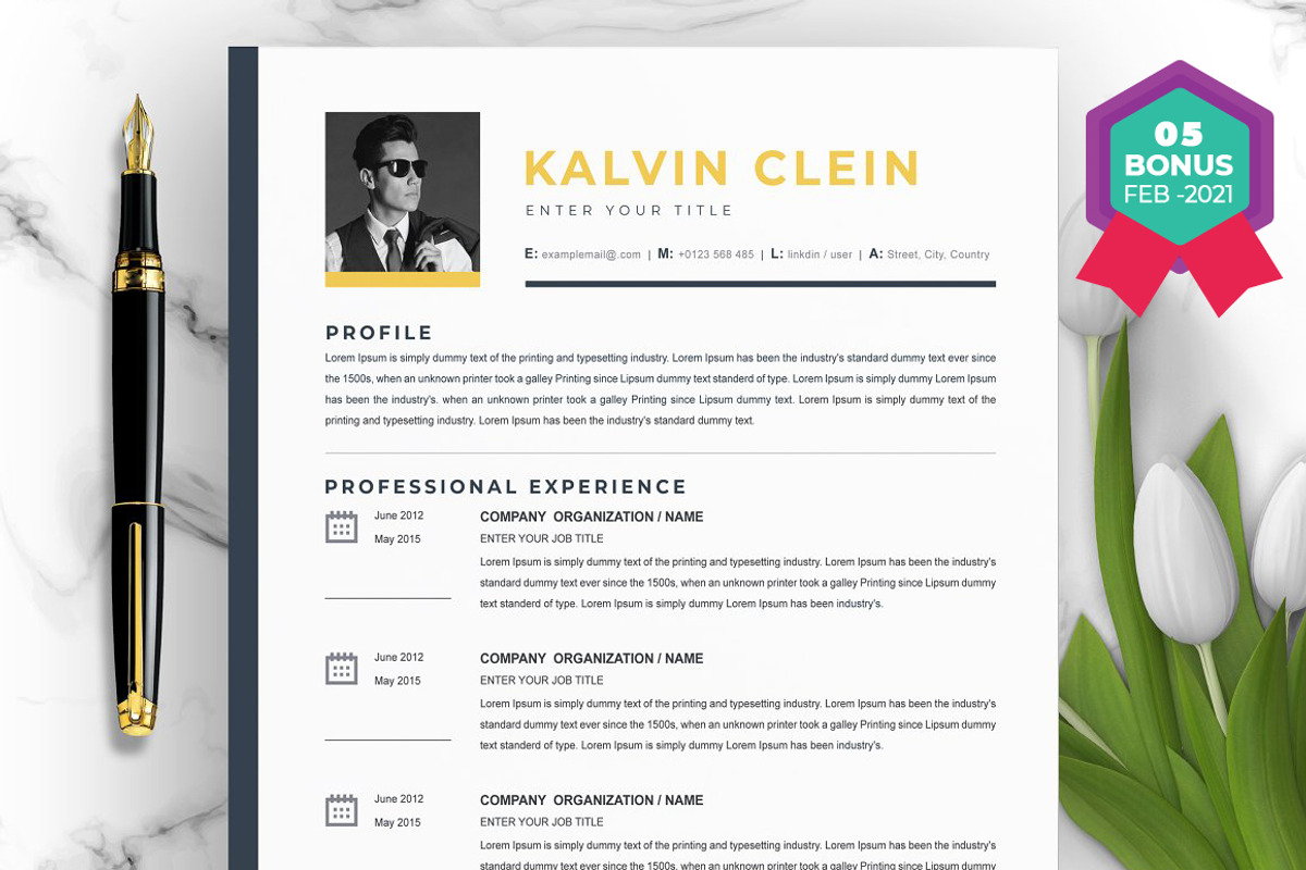 Resume/CV Bundle | 200+ for $29, a Resume Template by ResumeInventor (Photo 166 of 207)