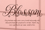 Ornavelle - Bloom Beautifully, a Script Font by HypeWorksCo (Thumbnail 15 of 22)