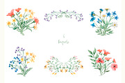 Watercolor Wildflowers Collection, a Decorative Illustration by MayaNavits (Thumbnail 7 of 14)
