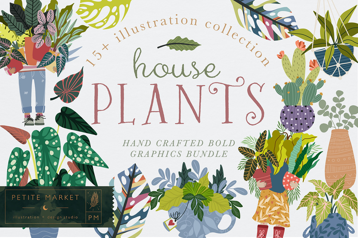 House Plant Illustration Clipart, a Graphic by PetiteMarket (Photo 1 of 3)