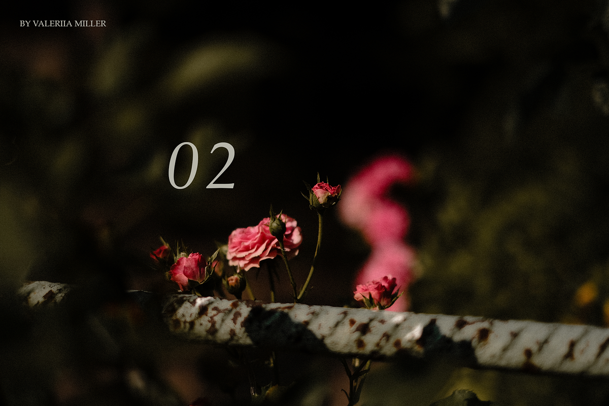 RUSTIC SUMMER (5 BACKGROUNDS), a Nature Photo by Valeriia Miller (Photo 4 of 11)