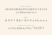 Stailen Modern Serif Font, a Serif Font by Idea Studio (Thumbnail 12 of 12)