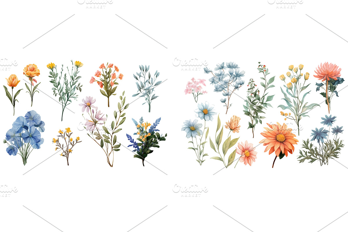 Elegant Collection of Hand-Painted, an Illustration by ZinetroN