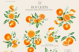 Orange Dreams Watercolor Collection