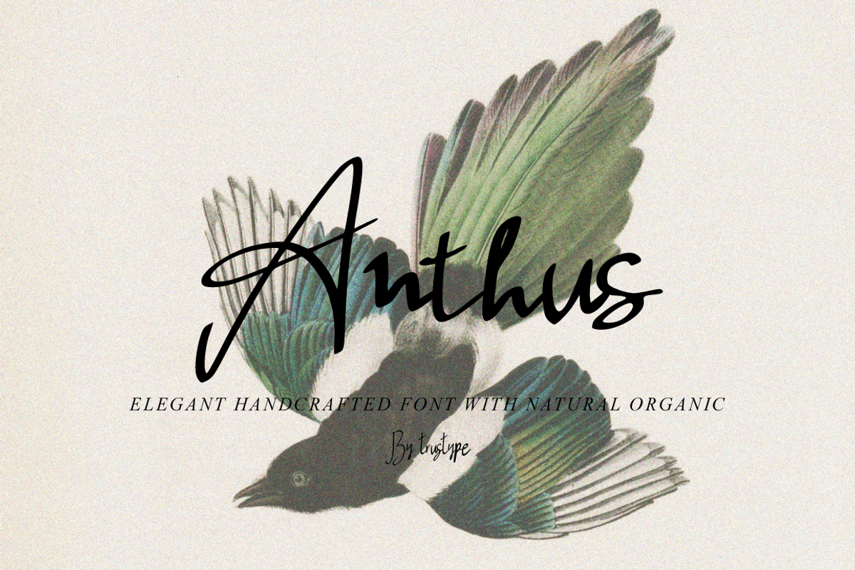 Anthus Signature, a Handwritten Font by Eltypesstudio (Photo 1 of 10)