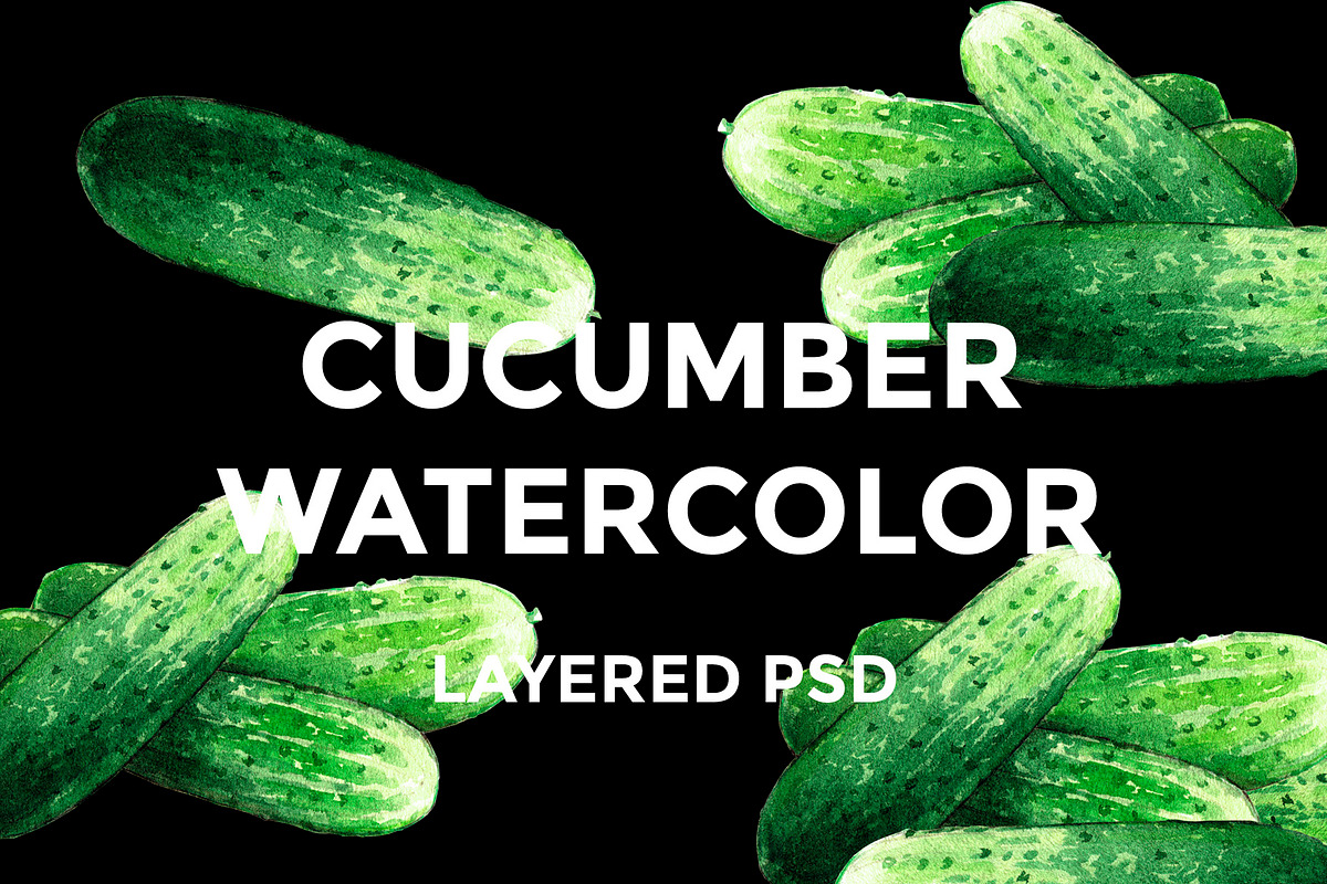 Cucumber watercolor illustrations, a Food Illustration by wedraw (Photo 1 of 4)