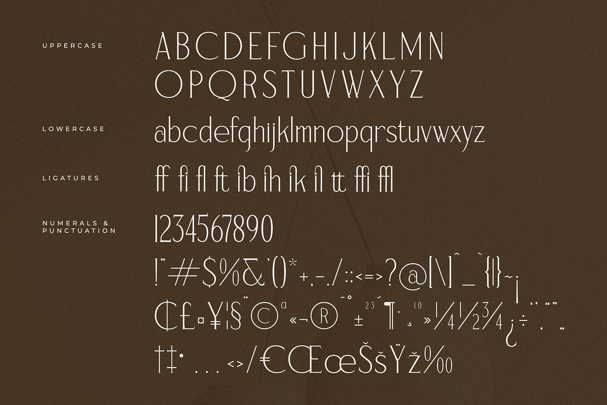 Serafilms Modern Stylish Serif, a Serif Font by Storytype Studio (Photo 13 of 15)