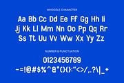 Whoozle - Modern Font Combination, a Sans Serif Font by Youthlabs Studio (Thumbnail 13 of 13)