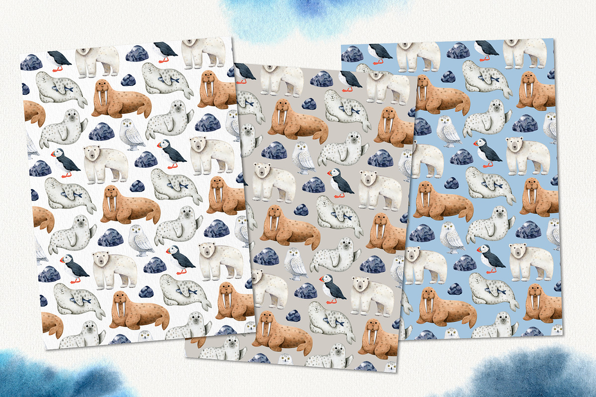 Northern Sea Watercolor Set, an Animal Illustration by Natalia Fedorova (Photo 10 of 16)