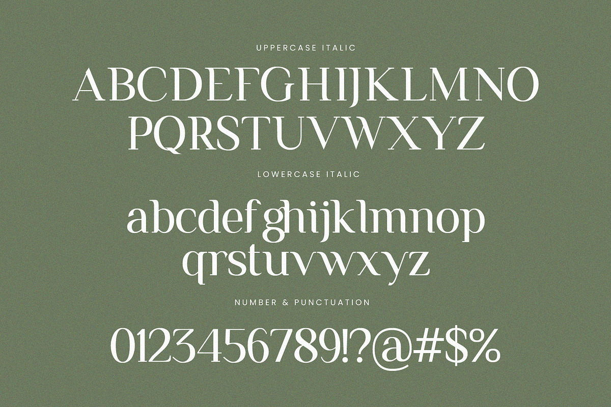 Remains Stepping Ligature Serif Font, a Serif Font by Graphicxell (Photo 16 of 17)