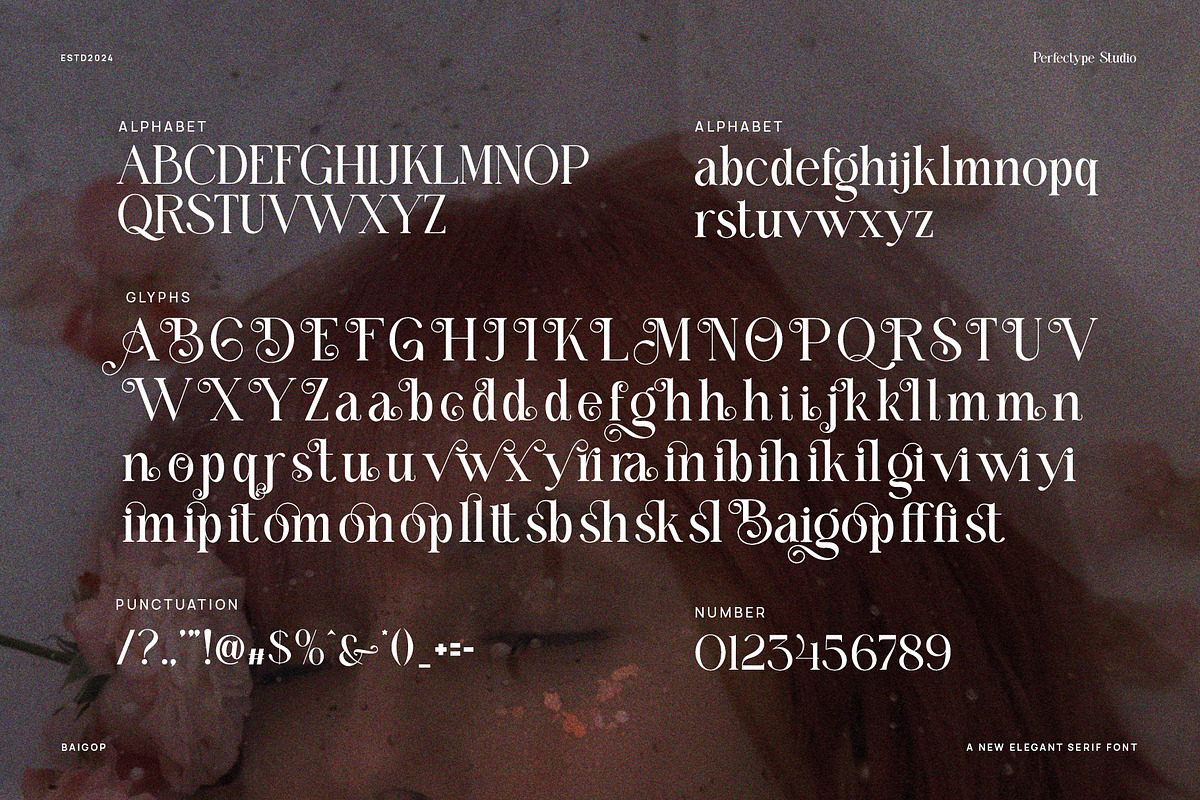 Baigop Modern Serif Font, a Serif Font by Perfectype (Photo 8 of 8)