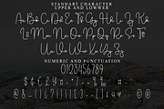 Handwriting, a Handwritten Font by FreshTypeINK (Thumbnail 5 of 8)