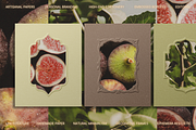 Embossed Papers and Frames Bundle, a Social Media Template by The Flossy Finch (Thumbnail 3 of 22)