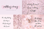 Bounce Calligraphy Font Bundle, a Script Font by Beck McCormick (Thumbnail 8 of 9)