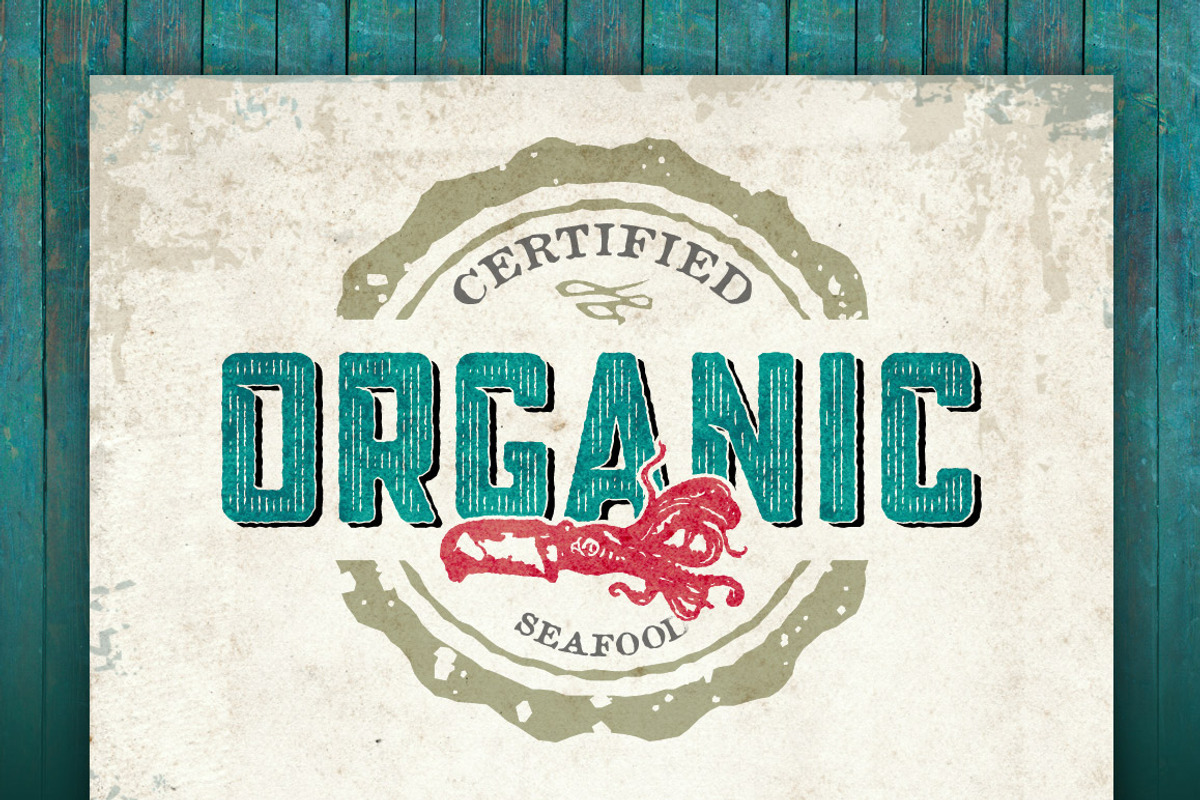 Blakstone Display Family, a Sans Serif Font by Albatross (Photo 14 of 14)