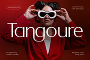 Tangoure Modern Sans Font, a Sans Serif Font by Vadovastd (Thumbnail 1 of 7)