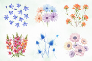 Wild Flowers, Butterflies and Dragon, an Illustration by Creative Art (Thumbnail 7 of 9)