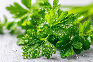 Fresh green parsley bunch with water droplets resting on a clean surface, a Food & Drink Photo by AlyaAnd