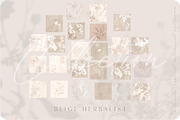 Beige botanical pattern collection, a Pattern Graphic by Anna Sokol (Thumbnail 2 of 16)