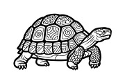 Turtle Line Art Illustration Bundle, an Illustration by Creativeshirt (Thumbnail 45 of 48)