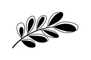Botanical Leaf Silhouette Bundle, an Illustration by Creativeshirt (Thumbnail 23 of 51)