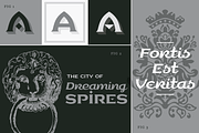 Luxurian Pro AOE Family, a Serif Font by Astigmatic (Thumbnail 3 of 5)