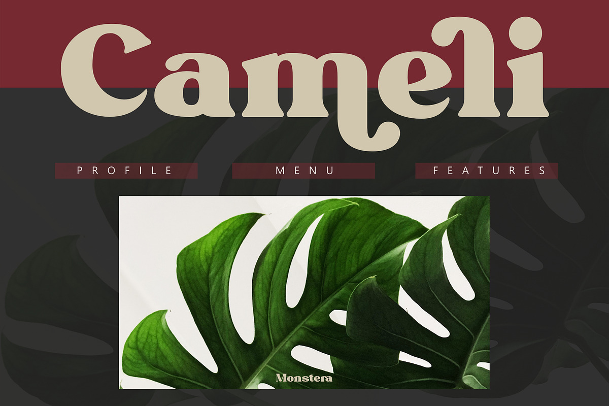 Givani - A cute retro serif, a Serif Font by Khoir (Photo 4 of 13)