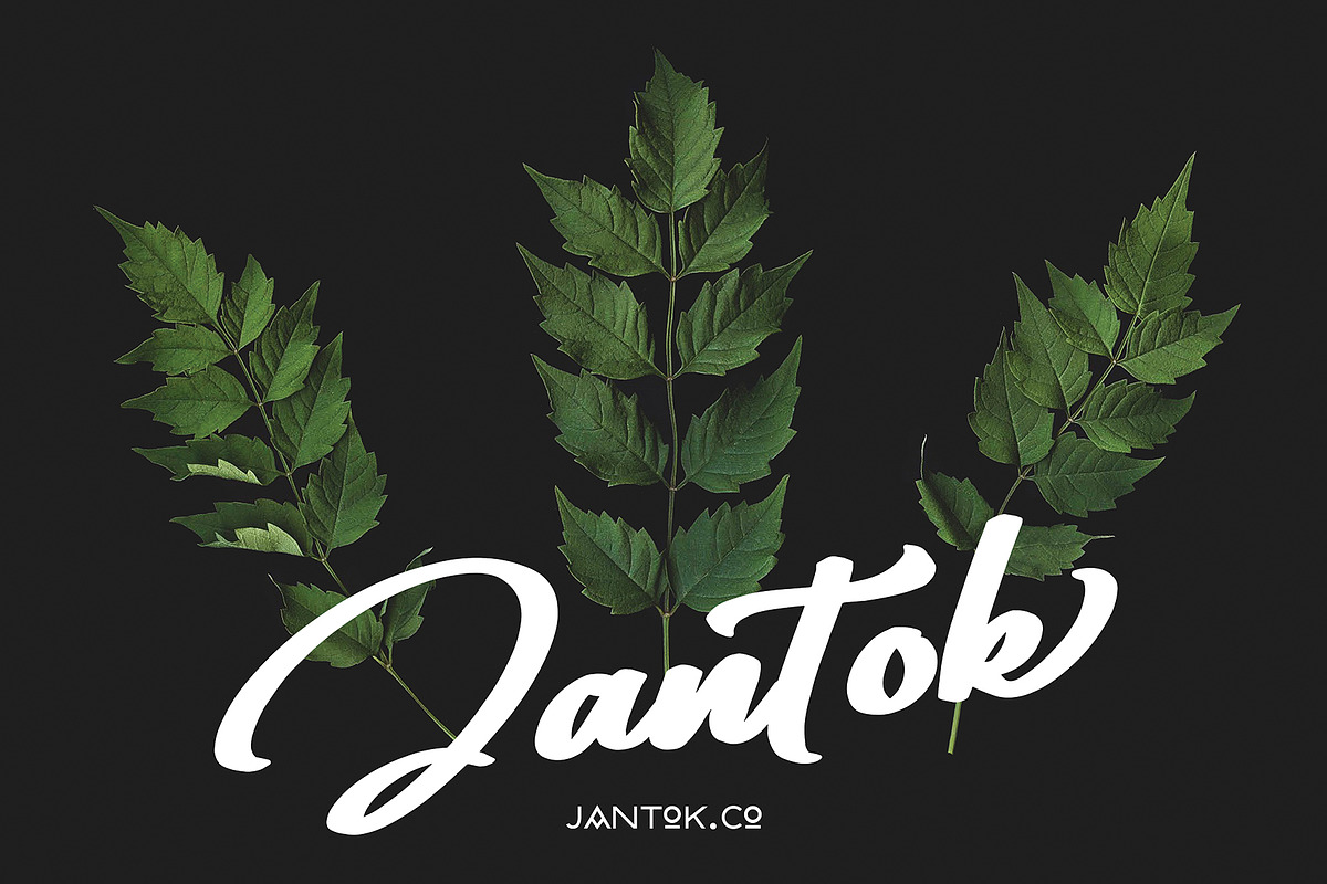Qirttam Risllara, a Script Font by pineungtype (Photo 8 of 9)