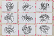 50 Peony Flower Vector Illustrations, an Illustration by Inkwell Supply Co (Thumbnail 9 of 20)