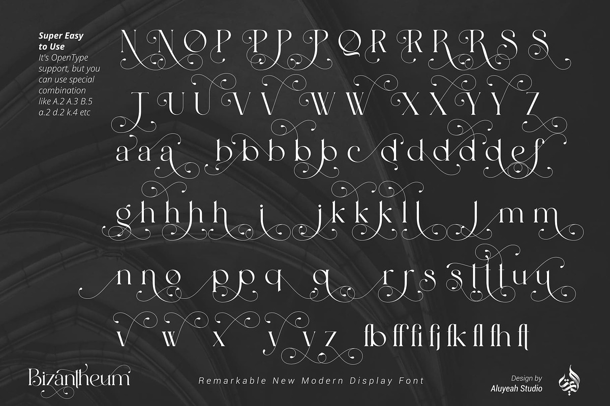 Bizantheum, a Serif Font by Aluyeah Studio (Photo 15 of 15)